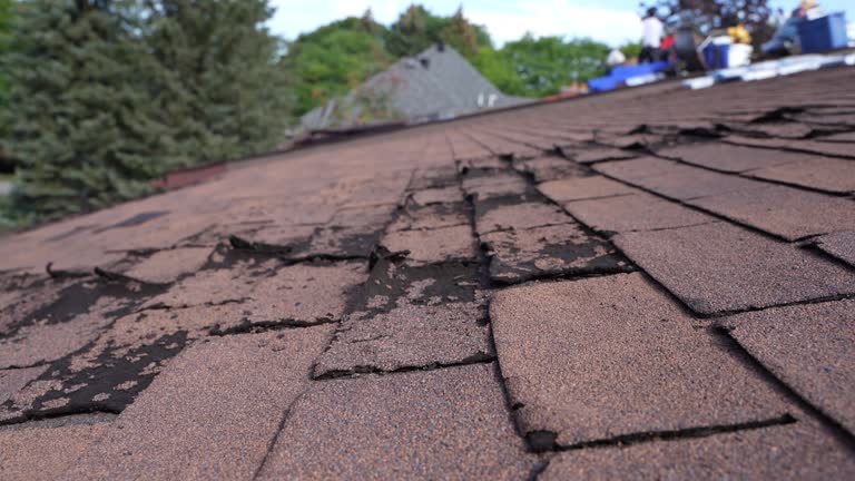 Best Roof Installation  in Luxora, AR